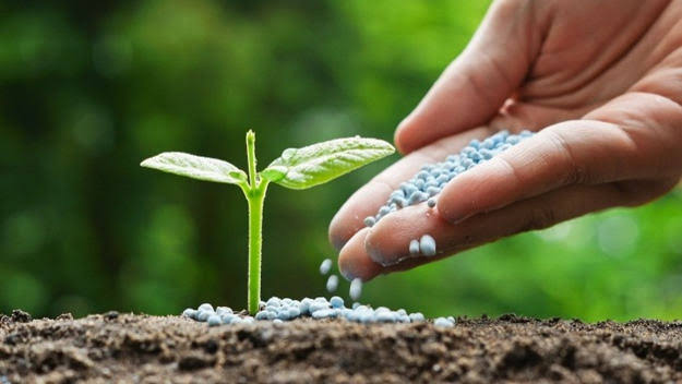 Fertilizer Industry
