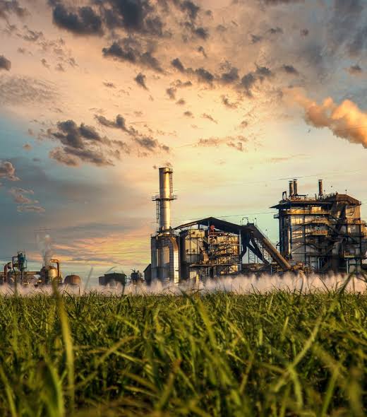 Sugar Industry